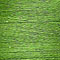 Cottolin 2069 Leaf