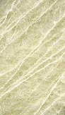 Kid Mohair 2000, Brushed from Henry's Attic
