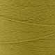 8/4 CARPET WARP 90 Lime 1/2 lb