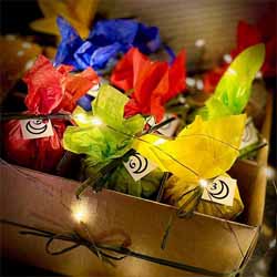 Solstice Magic Box