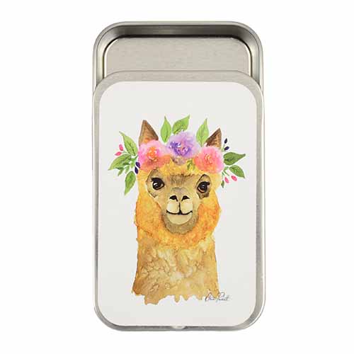 Large Storage Tin
