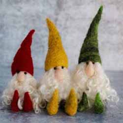 Bear Creek Gnome Kit