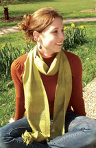 Experiment with Huck & Silk Kit