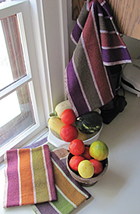 Eggplant, Carrots, and Avocados Kit